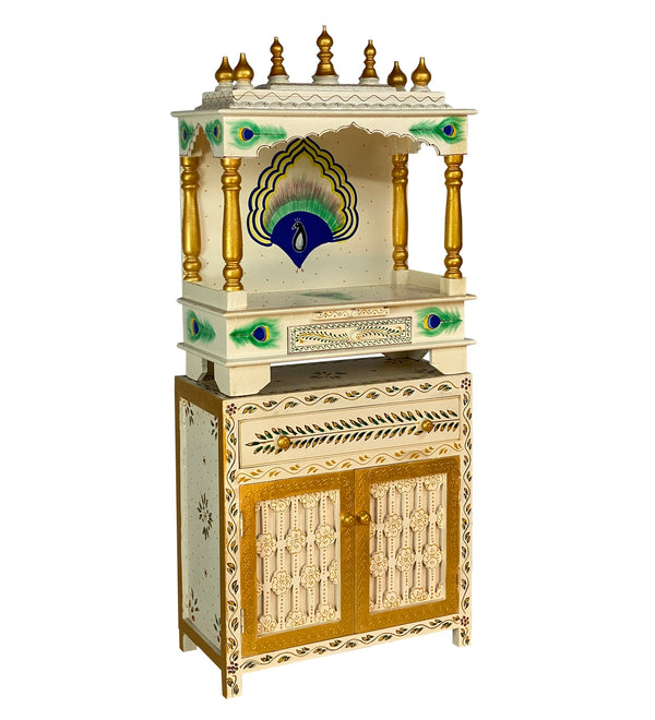 2412 Cabinet More (4)