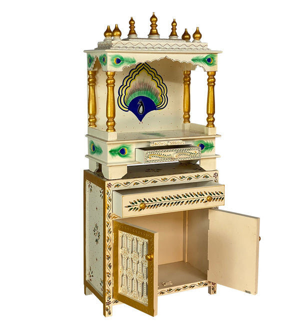 2412 Cabinet More (6)