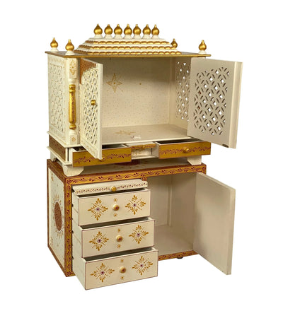 3211 Cabinet RGD (2)