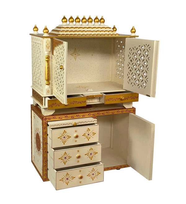 3211 Cabinet RGD (2)