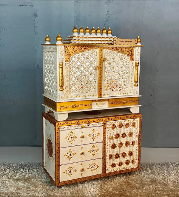 3211 Cabinet RGD (5)