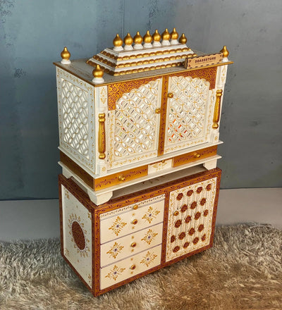 3211 Cabinet RGD (6)