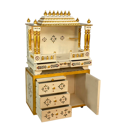 3211 Cabinet WG (4)