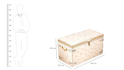 Wooden Trunk & Storage Box