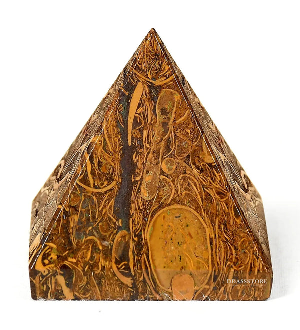 Natural Fossil Habur Stone (100% Authentic) - D'DASS Store