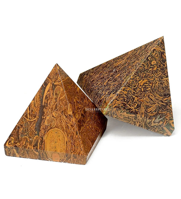 Natural Fossil Habur Stone (100% Authentic) - D'DASS Store