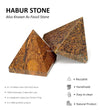 Natural Fossil Habur Stone (100% Authentic) - D'DASS Store