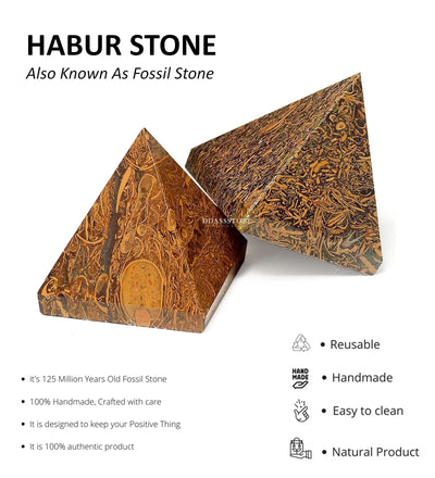 Natural Fossil Habur Stone (100% Authentic) - D'DASS Store