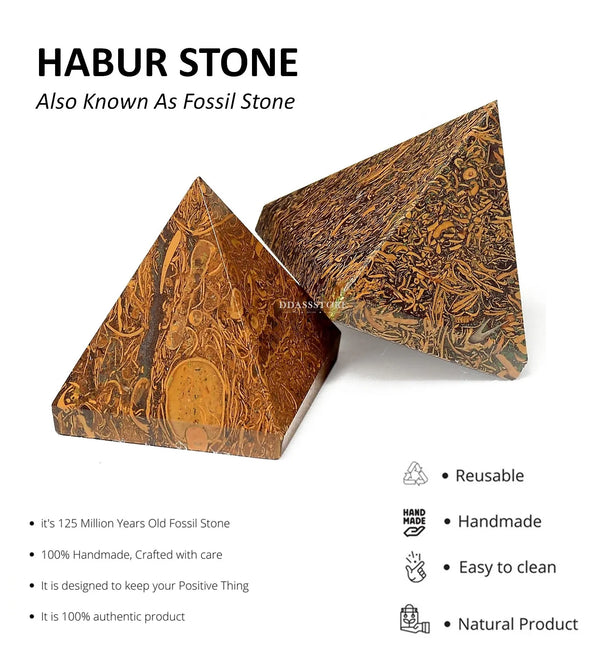 Natural Fossil Habur Stone (100% Authentic) - D'DASS Store