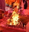 Hawan Samidha Mango Wood Dust / Natural Wooden Dust For Havan by D'DASS Store - D'DASS Store