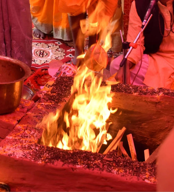 Hawan Samidha Mango Wood Dust / Natural Wooden Dust For Havan by D'DASS Store - D'DASS Store