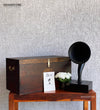 bluetooth gramophone (4)