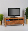 The Aurora Vista Frame TV unit - D'DASS Store